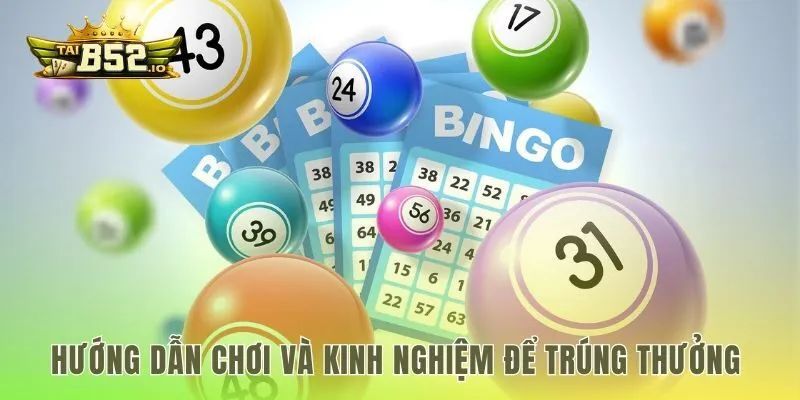 Quy trình đặt cược và mẹo chơi lô đề siêu tốc hiệu quả