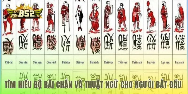 Cấu trúc 100 lá bài và các thuật ngữ nền tảng của ván chắn